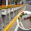 花箱護欄