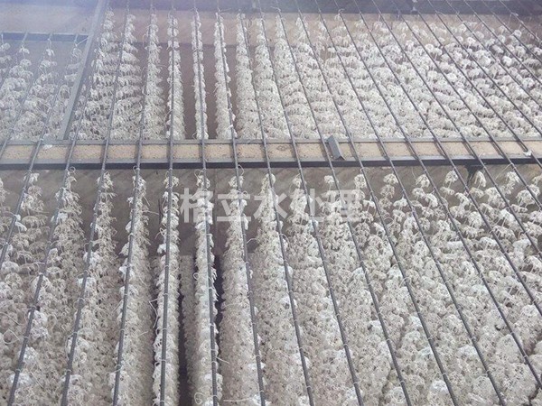 組合填料