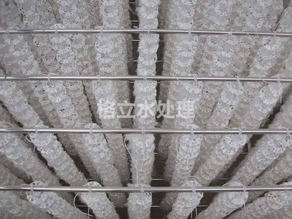 彈性填料