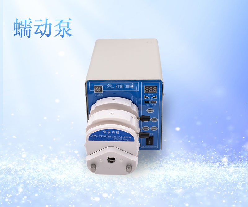 BT00-300M精密蠕動泵
