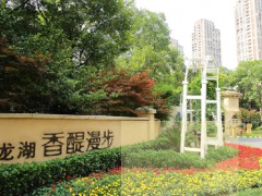 龍湖 香醍漫步